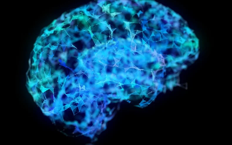 هوش مصنوعی می‌تواند از روی اسکن مغز چیزی را که می‌بینید شبیه‌سازی کند