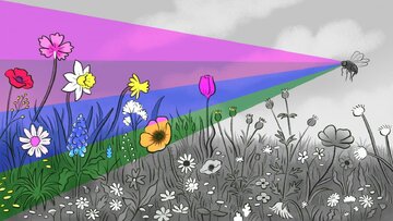 جهان سیاه و سفید است و مغز ما آن را رنگی می‌کند؟