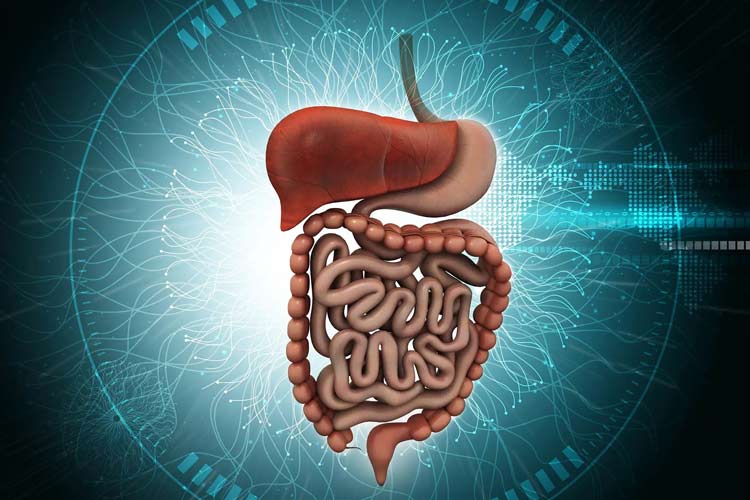 چرا نیروی گرانش می‌تواند سندرم روده تحریک‌پذیر ایجاد کند؟