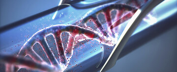 ساخت کامپیوتر مایع با استفاده از DNA
