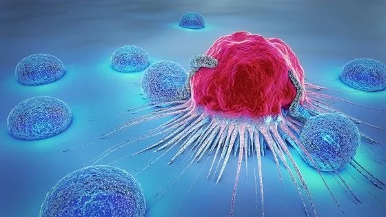 دانشمندان با از کار انداختن یک ژن خاص، مقاومت سلول‌های سرطانی را کاهش دادند
