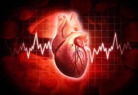 بیماری‌های قلبی عروقی جزو عوامل اصلی مرگ‌ومیر است
