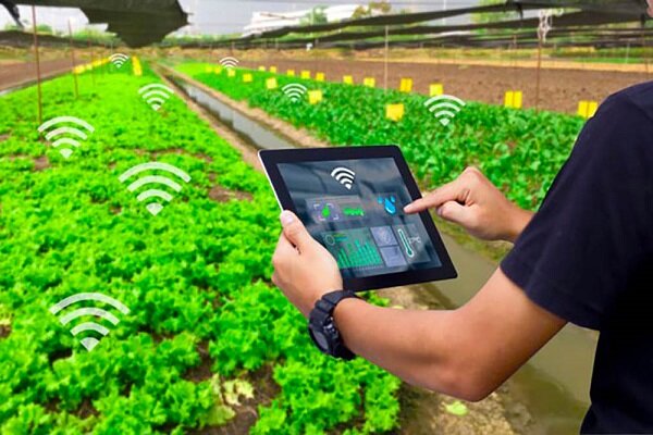 توسعه «سامانه پایش کشاورزی» بر مبنای هوش مصنوعی