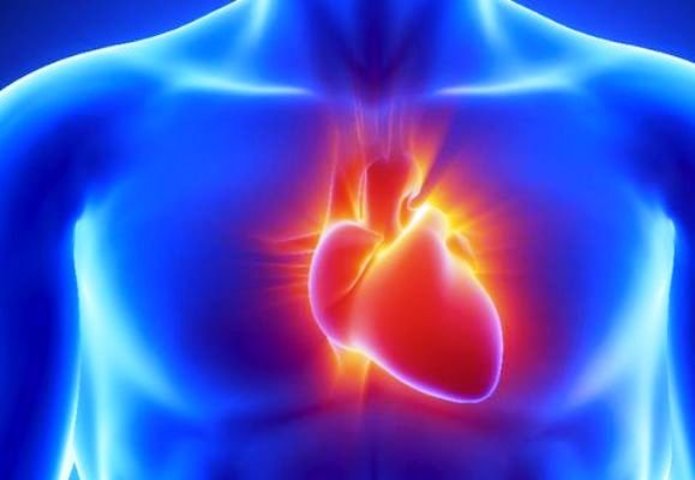 نحوه ترمیم آسیب قلبی با استفاده از سلول‌های بنیادی
