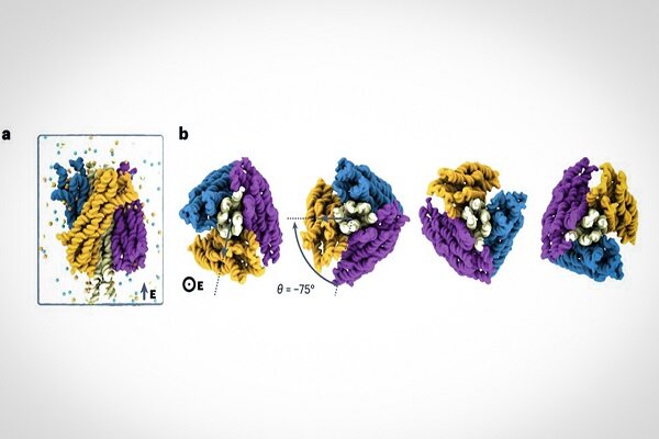 ساخت کوچک‌ترین الکتروموتور نانویی با تا زدن DNA