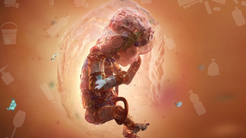 میکروپلاستیک ها می توانند از اندام مادر به اندام جنین منتقل شوند
