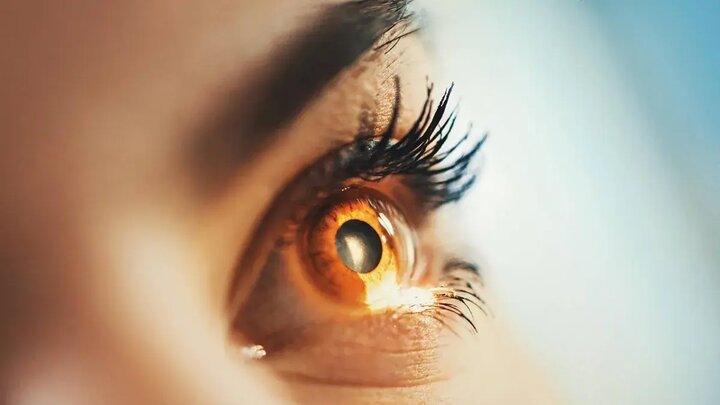 داروی جدید نابینایی ناشی از دیابت را کند می کند
