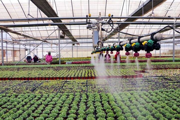 راه اندازی گلخانه های هوشمند مبتنی بر اینترنت اشیا در سراسر کشور
