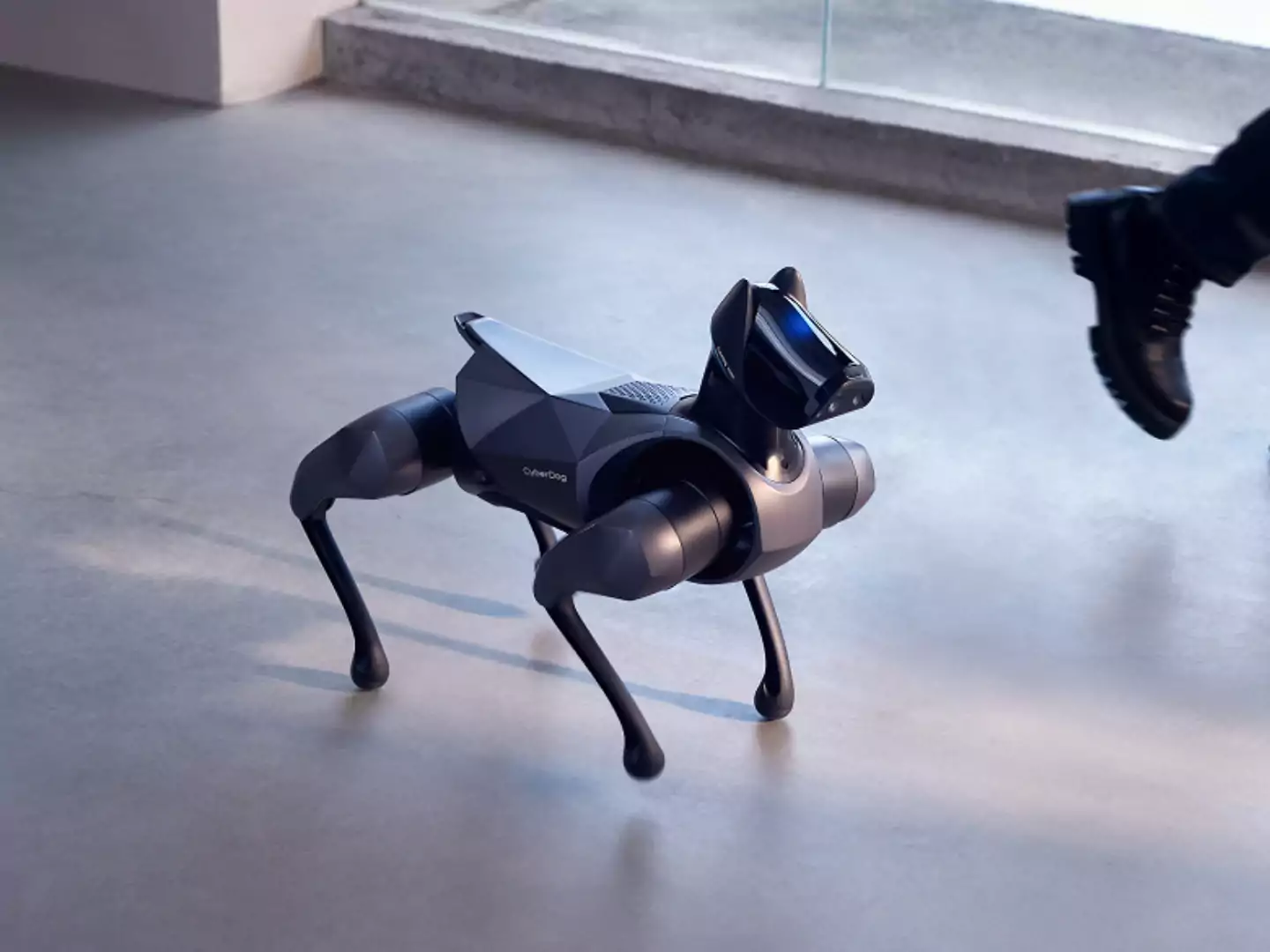 شیائومی از دومین نسل سگ رباتیک خود با نام CyberDog 2 رونمایی کرد
