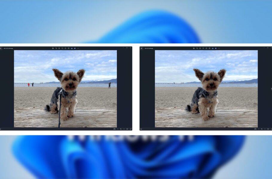 قابلیت حذف اشیاء و اشخاص یک تصویر با هوش مصنوعی به ویندوز 11  اضافه شد
