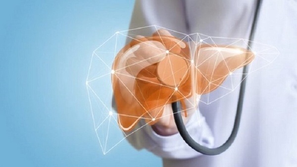 تجمع سلول‌های قدیمی در کبد خطرناک است
