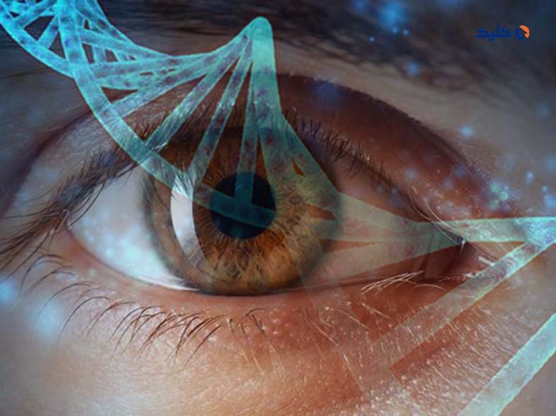 کشفی جدید درباره نحوه تکامل بینایی انسان
