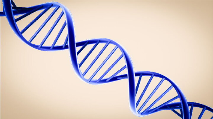 بازار ۸۸ میلیون دلاری در انتظار فناوری اوریگامی DNA
