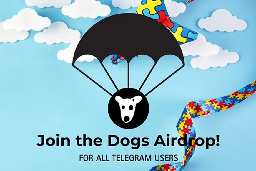 ایردراپ رایگان DOGS در تلگرام؛ هرآنچه باید بدانید
