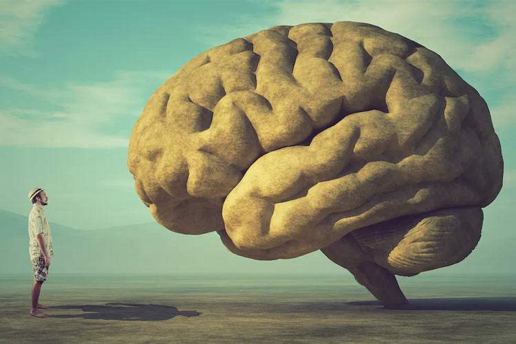 نکات کلیدی برای پیشگیری از سکته مغزی
