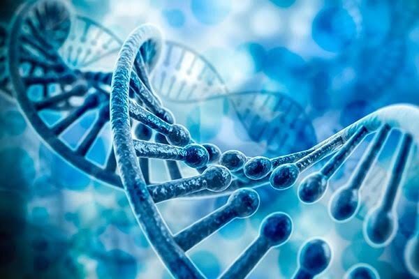 یک شکارچی دقیق برای گیرانداختن DNA سرطان از راه رسید
