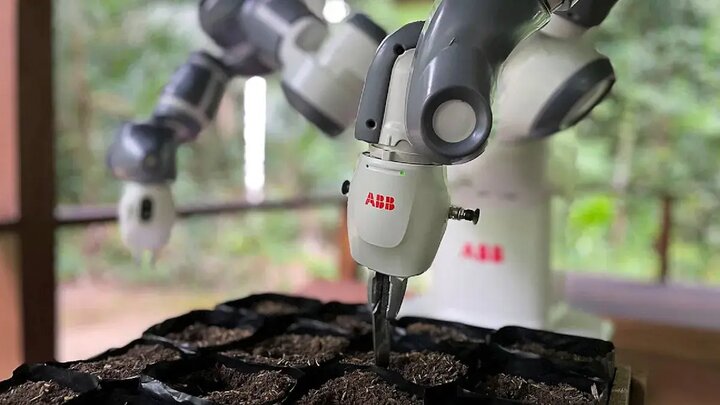 احیای جنگل های آمازون به ربات ها سپرده می شود
