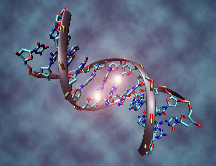 ردیابی DNA و پروتئین‌ها بدون آسیب به سلول‌ها
