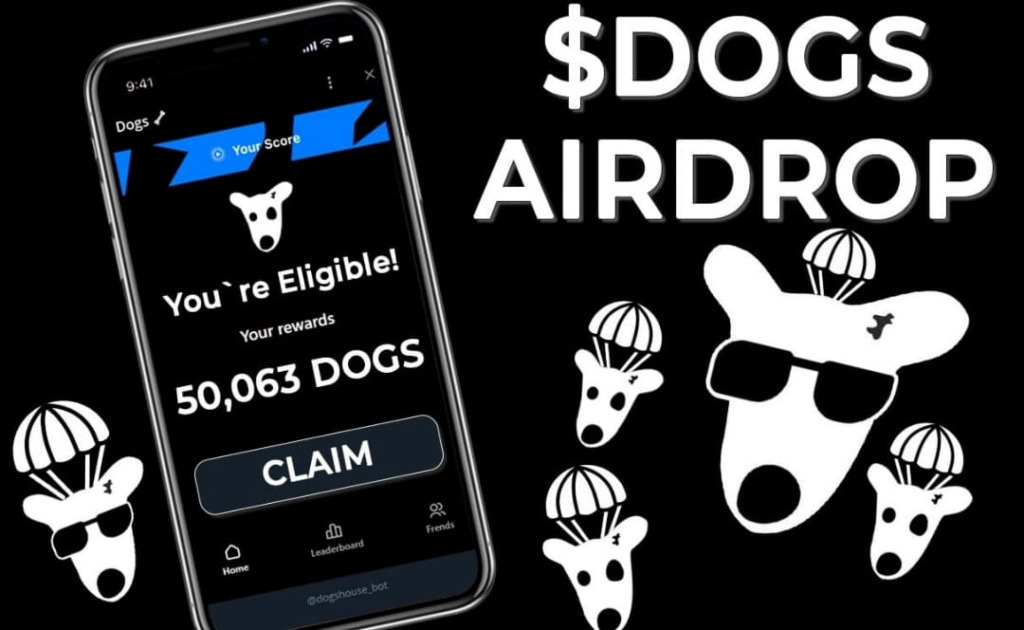 آموزش ایردراپ DOGS