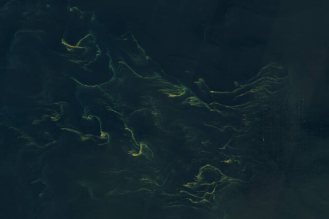 عکس ماهواره ناسا از درخشش دریای شمال
