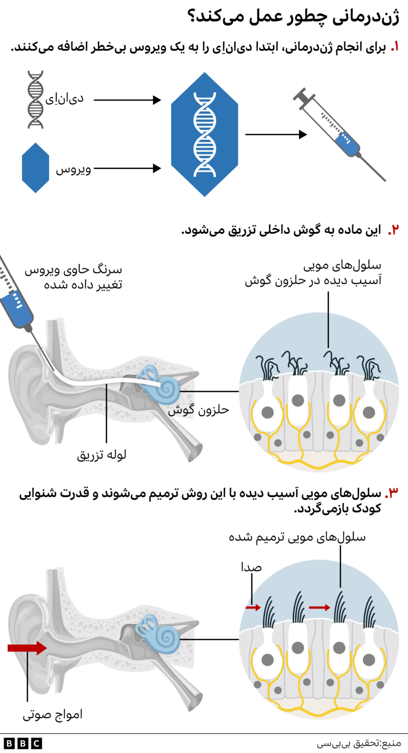 ژن درمانی 